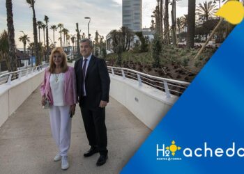 Cuenta atrás para que Estepona se consolide como uno de los referentes culturales del país