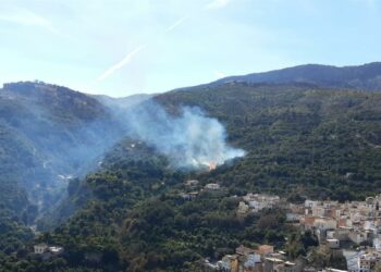 Declarado un incendio forestal en un barranco de El Pinar, Granada