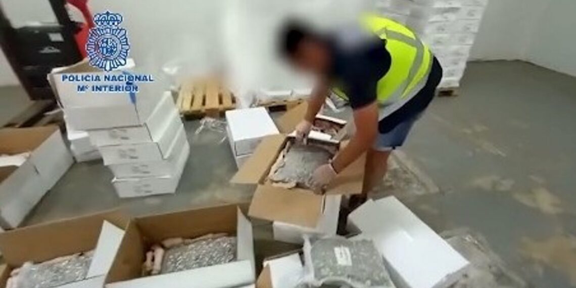 Seis detenidos tras intervenir 469 kilos de droga ocultos entre cajas de productos cárnicos