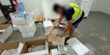 Seis detenidos tras intervenir 469 kilos de droga ocultos entre cajas de productos cárnicos