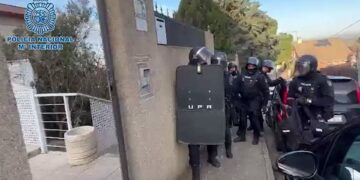 Cae una red que trasladaba cocaína oculta en maceteros y que entró en España por puerto de Málaga