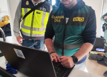 Desarticulada una plataforma para robo de credenciales de acceso a servicios on-line en internet