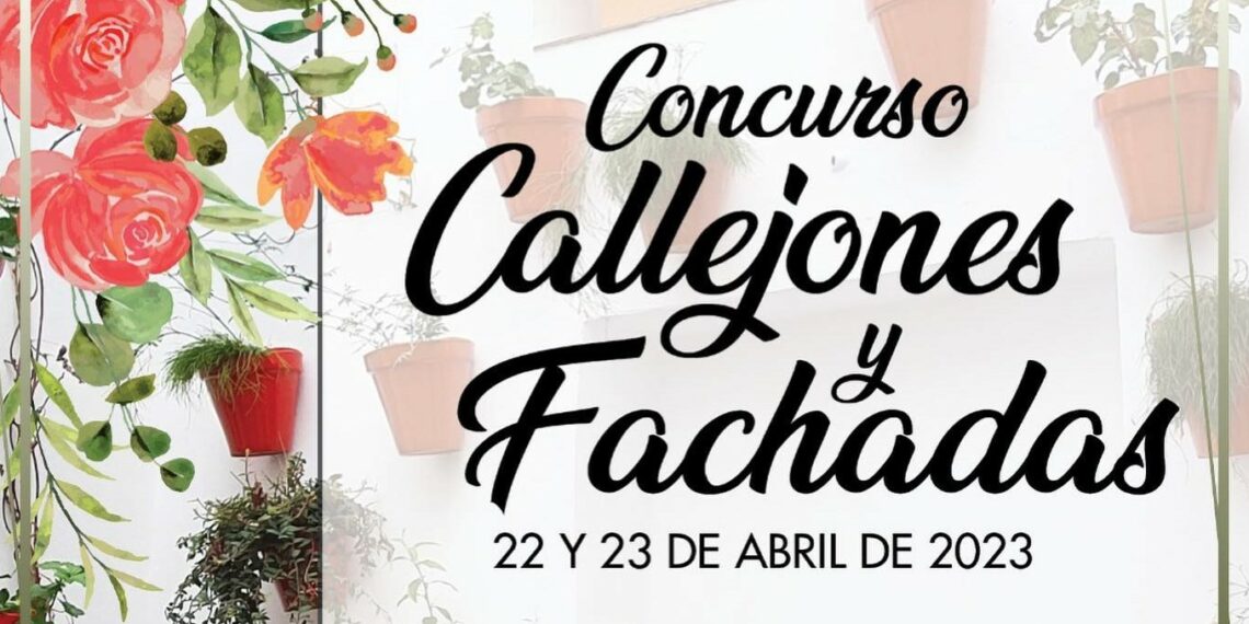 En Casares concurso de callejones y fachadas