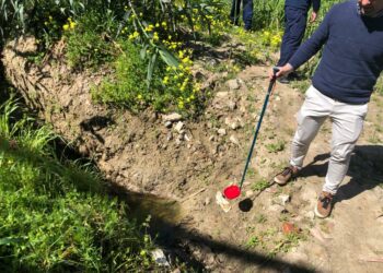 En Casares pone en marcha su Plan Municipal de Vigilancia y Control de mosquitos