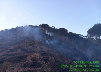 Estabilizado el incendio forestal en Mijas