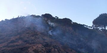 Estabilizado el incendio forestal en Mijas