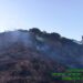 Estabilizado el incendio forestal en Mijas