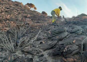 Controlado el incendio de Mijas