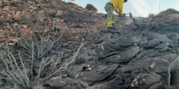 Controlado el incendio de Mijas