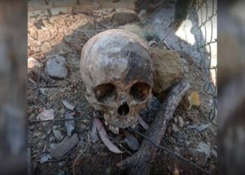 Investigan el hallazgo de la cabeza de una mujer en el interior de una maleta en Benahavís