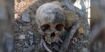 Investigan el hallazgo de la cabeza de una mujer en el interior de una maleta en Benahavís