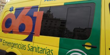 Herido un motorista tras atropellar a un animal cuando circulaba por la A-7