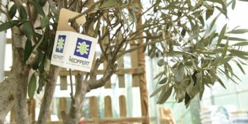 Torremolinos inicia una campaña de tratamiento biológico para el control de plagas