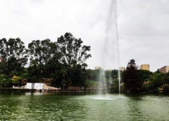 Benalmádena quiere recuperar las gallinas y los gallos del Parque de la Paloma