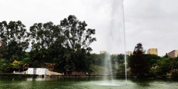 Benalmádena quiere recuperar las gallinas y los gallos del Parque de la Paloma