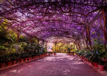El Jardín Botánico Histórico La Concepción de la capital abre sus puertas este lunes en su horario habitual