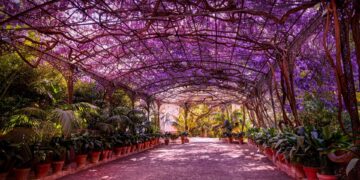 El Jardín Botánico Histórico La Concepción de la capital abre sus puertas este lunes en su horario habitual