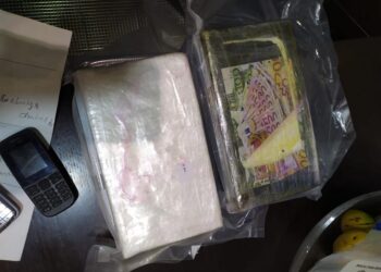 Detenidos en Málaga varios miembros de una red criminal de tráfico de cocaína de Sudamérica a Europa