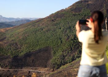 Comienzan la reforestación de Sierra Bermeja: drones lanzan desde hoy hasta 11.400 semillas