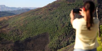 Comienzan la reforestación de Sierra Bermeja: drones lanzan desde hoy hasta 11.400 semillas
