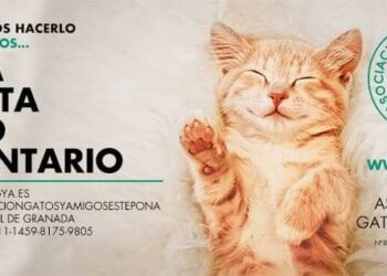 El Ayuntamiento cede una parcela municipal a la Asociación Gatos y Amigos de Estepona