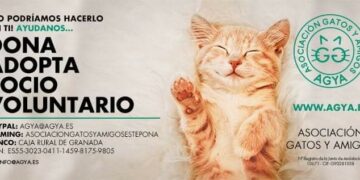 El Ayuntamiento cede una parcela municipal a la Asociación Gatos y Amigos de Estepona