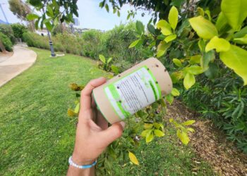 Control biológico en las zonas ajardinadas de Casares Costa.