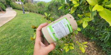 Control biológico en las zonas ajardinadas de Casares Costa.