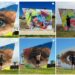 «Eye on Casares» es la nueva obra de arte urbano que está expuesta en el parque Los Alegres de Casares Costa