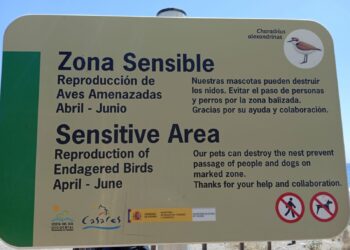 El Ayuntamiento de Casares lucha por proteger la población de chorlitejo en el litoral