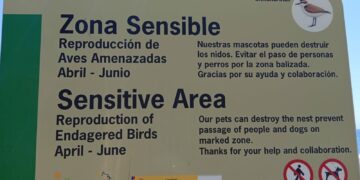 El Ayuntamiento de Casares lucha por proteger la población de chorlitejo en el litoral