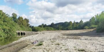 Casares celebra este fin de semana la Romería de la Virgen del Rosario del Campo