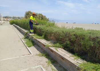 Las playas de Casares preparadas para la temporada estival