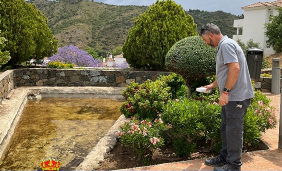 El Ayuntamiento de Benahavís realiza una suelta de insectos beneficiosos para sus zonas verdes