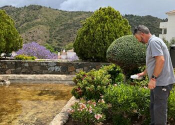 El Ayuntamiento de Benahavís realiza una suelta de insectos beneficiosos para sus zonas verdes