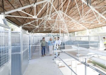 Las obras de la nueva protectora de animales de Marbella se encuentran al 85 por ciento de su ejecución
