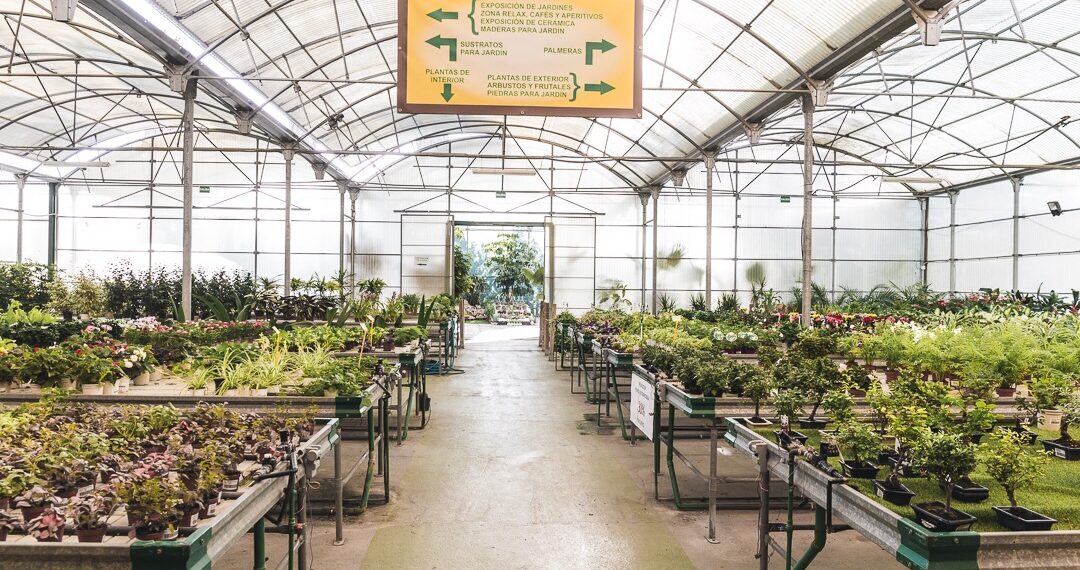 Comienza la campaña de visita de los colegios de la localidad al vivero municipal ‘Los Pinares de Torremolinos’