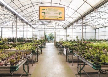 Comienza la campaña de visita de los colegios de la localidad al vivero municipal ‘Los Pinares de Torremolinos’