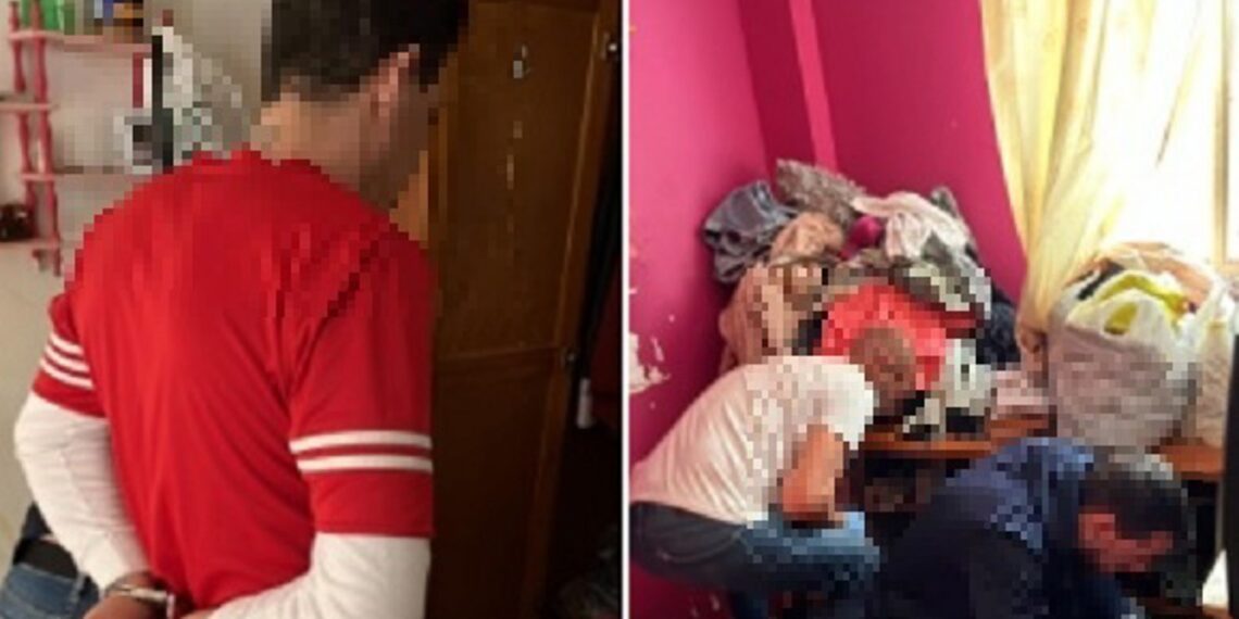 Detenidas 5 personas por 12 robos en establecimientos y domicilios de Marbella