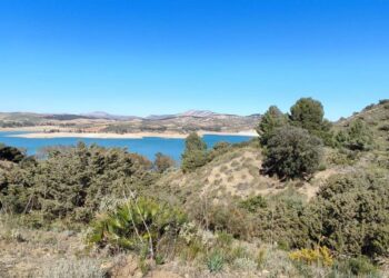 Dos chicas rescatadas después de lanzarse al agua en un pantano para huir de jóvenes que las agredían