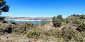 Dos chicas rescatadas después de lanzarse al agua en un pantano para huir de jóvenes que las agredían