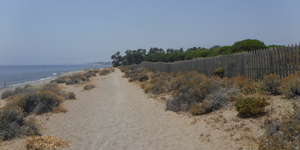 El PSOE denuncia la pavimentación de parte de las dunas de Punta del Saladillo
