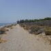 El PSOE denuncia la pavimentación de parte de las dunas de Punta del Saladillo
