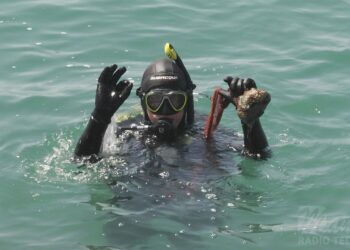 Manilva lleva a cabo una limpieza de fondos marinos con motivo del Día Mundial del Medioambiente