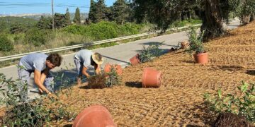 Avanza el proyecto de embellecimiento de la carretera a Casares desde Costa