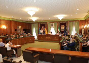 El Pleno aprueba la nueva estructura organizativa del Ayuntamiento de Marbella