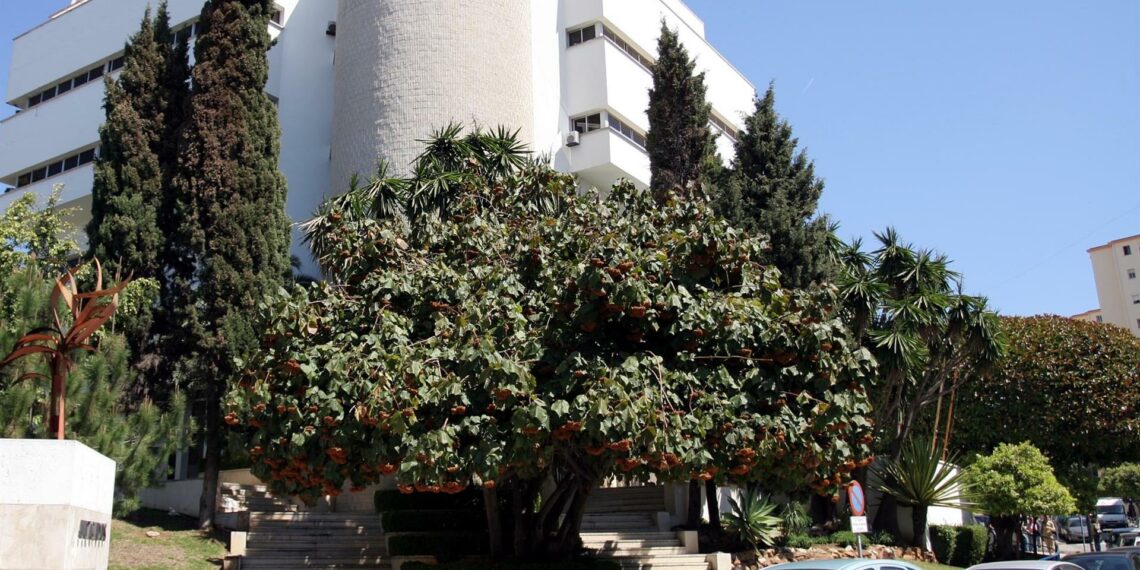 Prisión para el detenido en relación con la muerte de una mujer que cayó desde un cuarto piso en Marbella