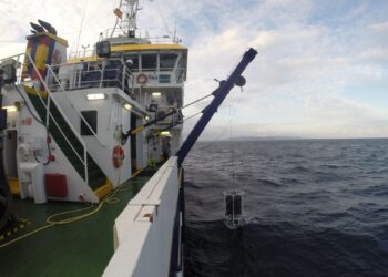 La temperatura y salinidad del Mediterráneo está aumentando en todas sus profundidades