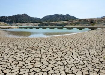 España recibirá este martes los 81 millones de la reserva agrícola de la UE por la sequía