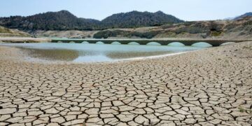 España recibirá este martes los 81 millones de la reserva agrícola de la UE por la sequía